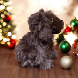 DUMPY & SINGO-The Official BSS® Plushes