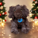 DUMPY & SINGO-The Official BSS® Plushes