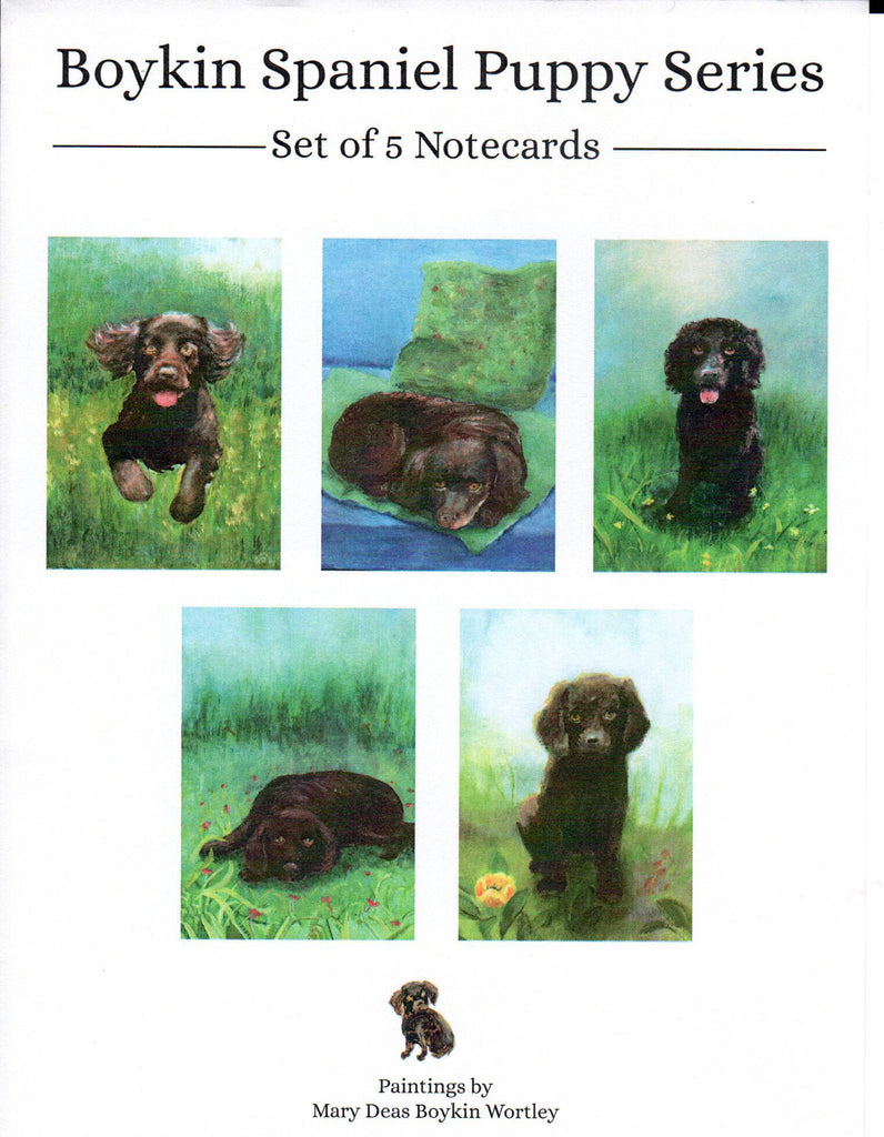 Boykin Spaniel Puppy Notecards